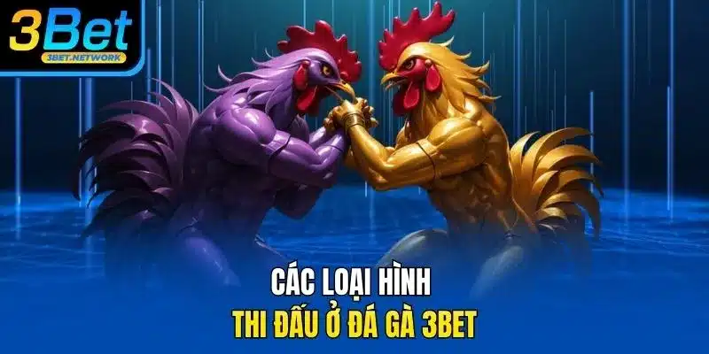 Các loại hình thi đấu ở đá gà 3BET