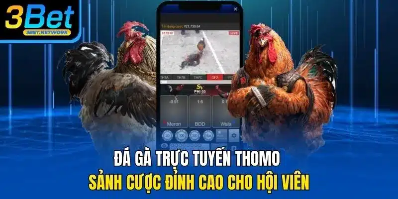 đá gà trực tuyến thomo