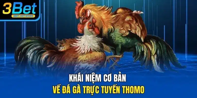 Khái niệm cơ bản về đá gà trực tuyến thomo