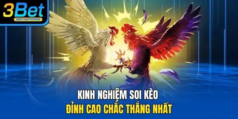 Kinh nghiệm soi kèo đỉnh cao chắc thắng nhất