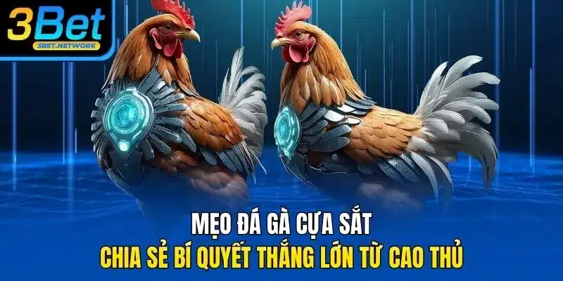 Mẹo đá gà cựa sắt