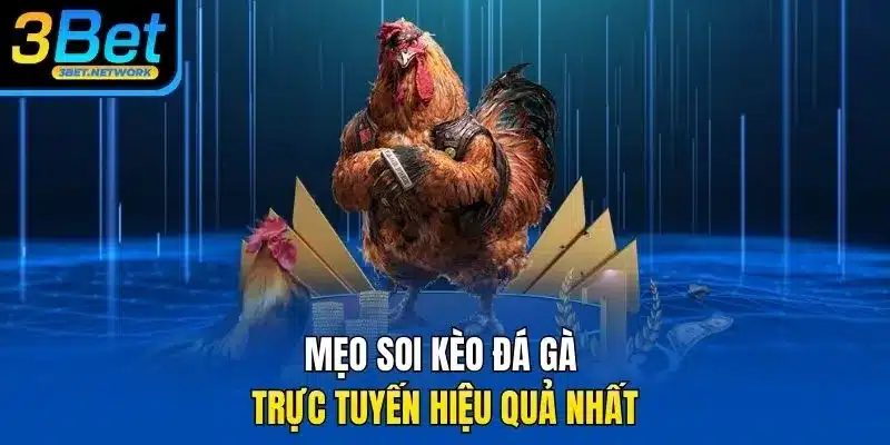 Mẹo soi kèo đá gà trực tuyến hiệu quả nhất