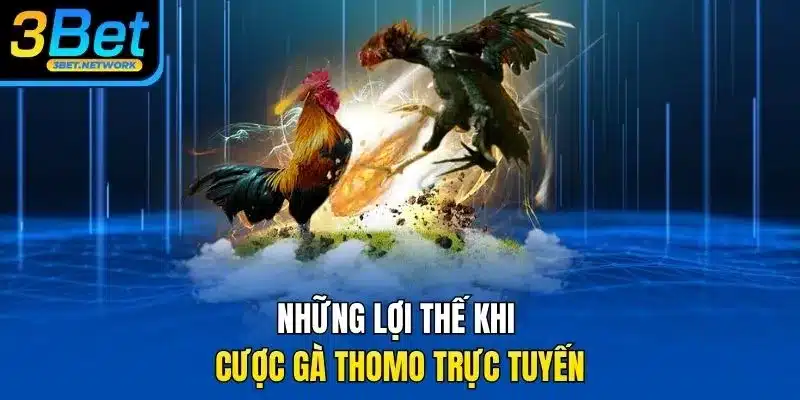Những lợi thế khi cược gà thomo trực tuyến