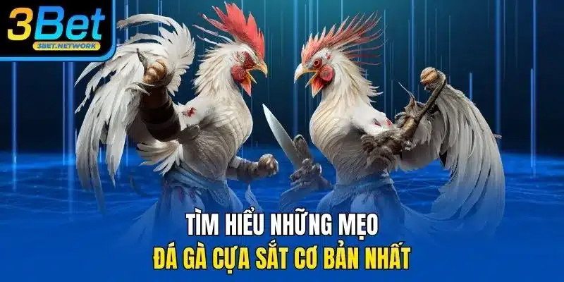 Tìm hiểu những mẹo đá gà cựa sắt cơ bản nhất