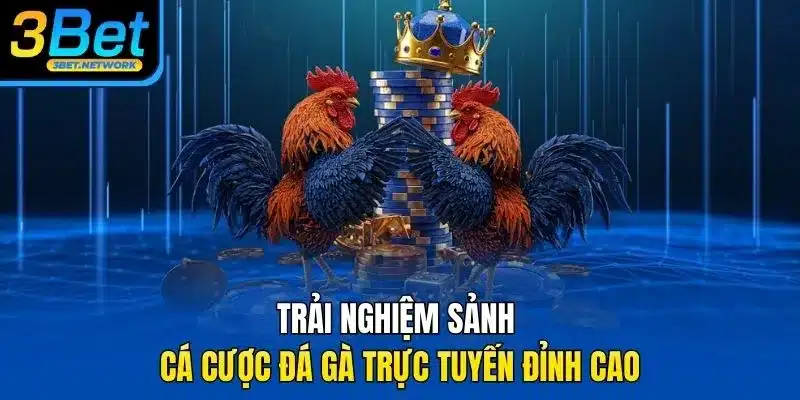 Trải nghiệm sảnh cá cược đá gà trực tuyến đỉnh cao